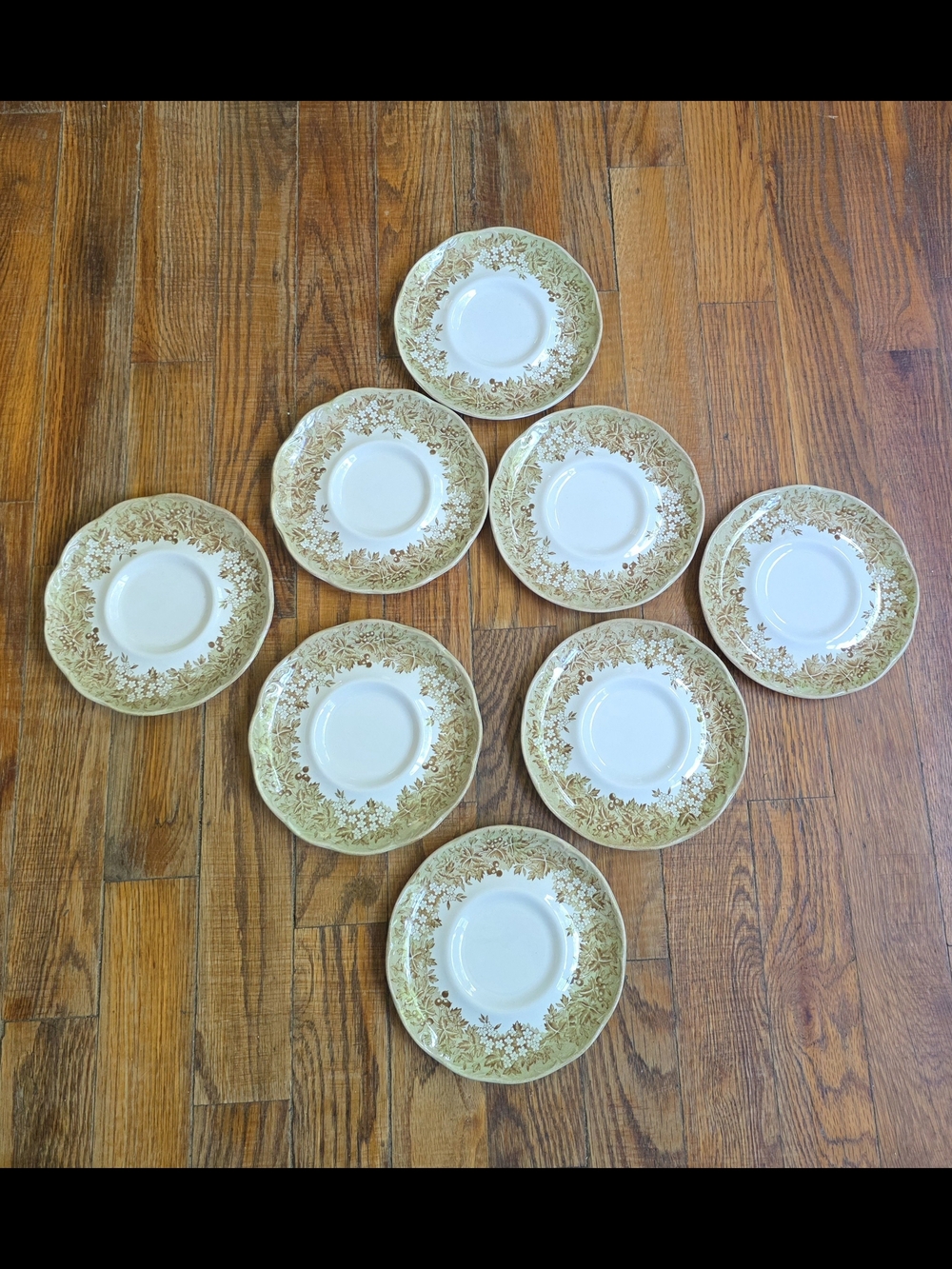 Vintage Romantic England J & G Meakin Set Of 8 Teacup Plates